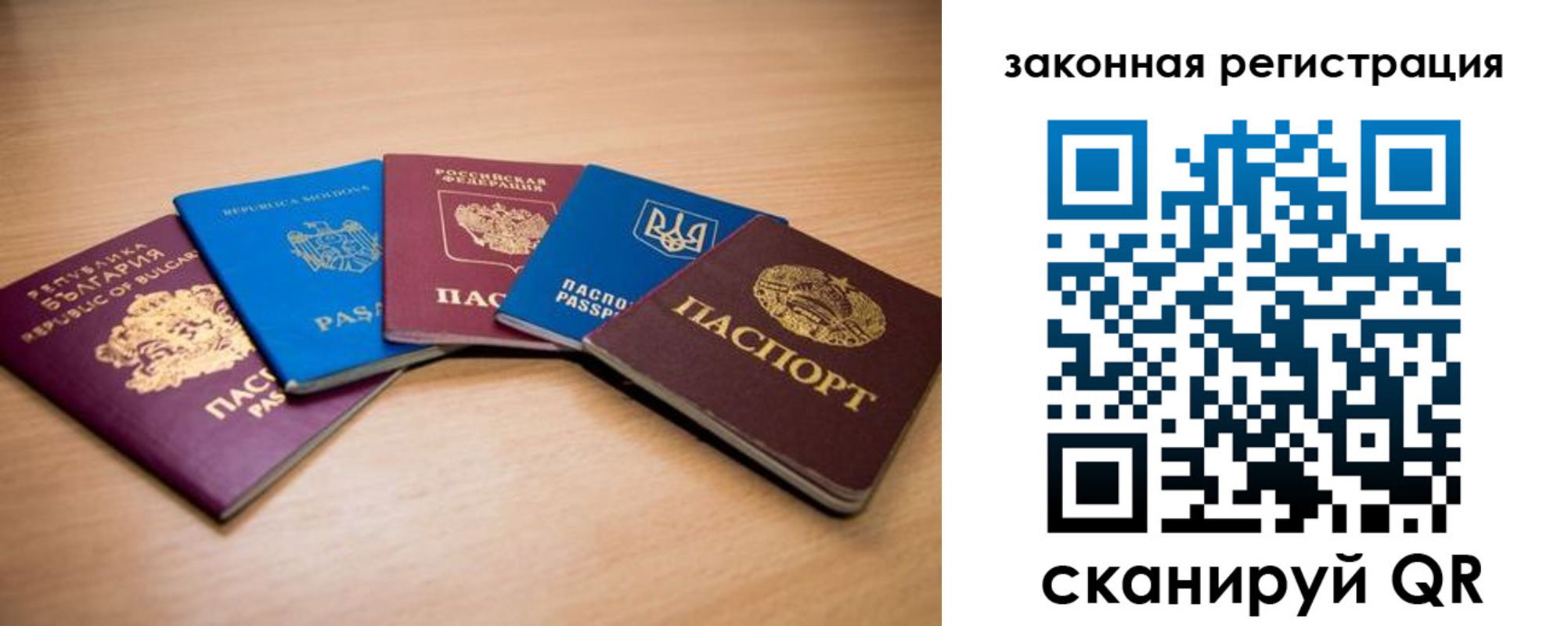 прописка в квартире в Димитровграде